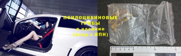 тгк Горнозаводск