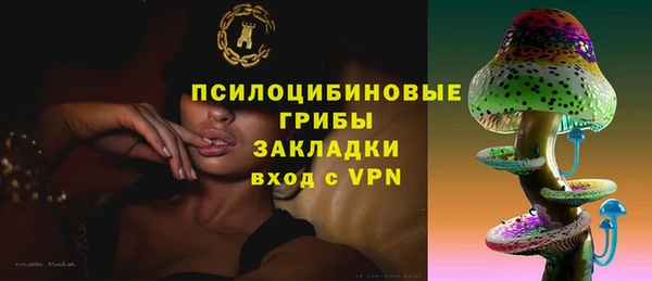 тгк Горнозаводск