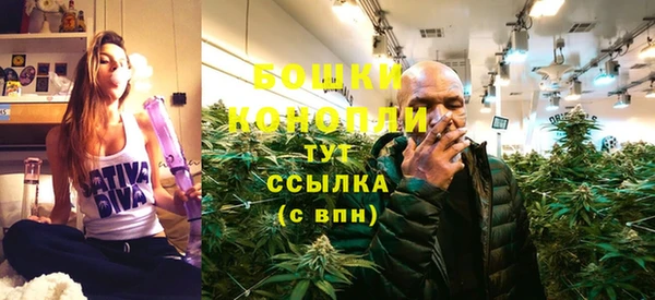 тгк Горнозаводск