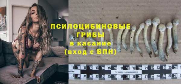 соль курить ск Горняк