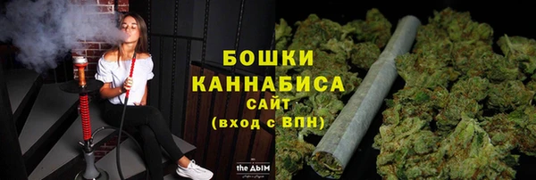 тгк Горнозаводск