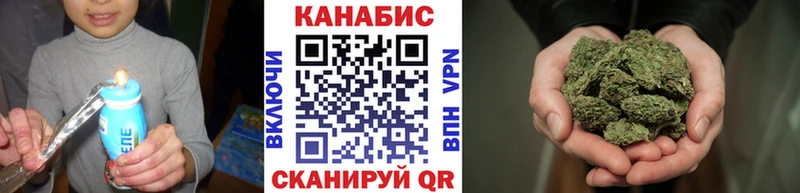 Каннабис OG Kush  Купить где  Алзамай 